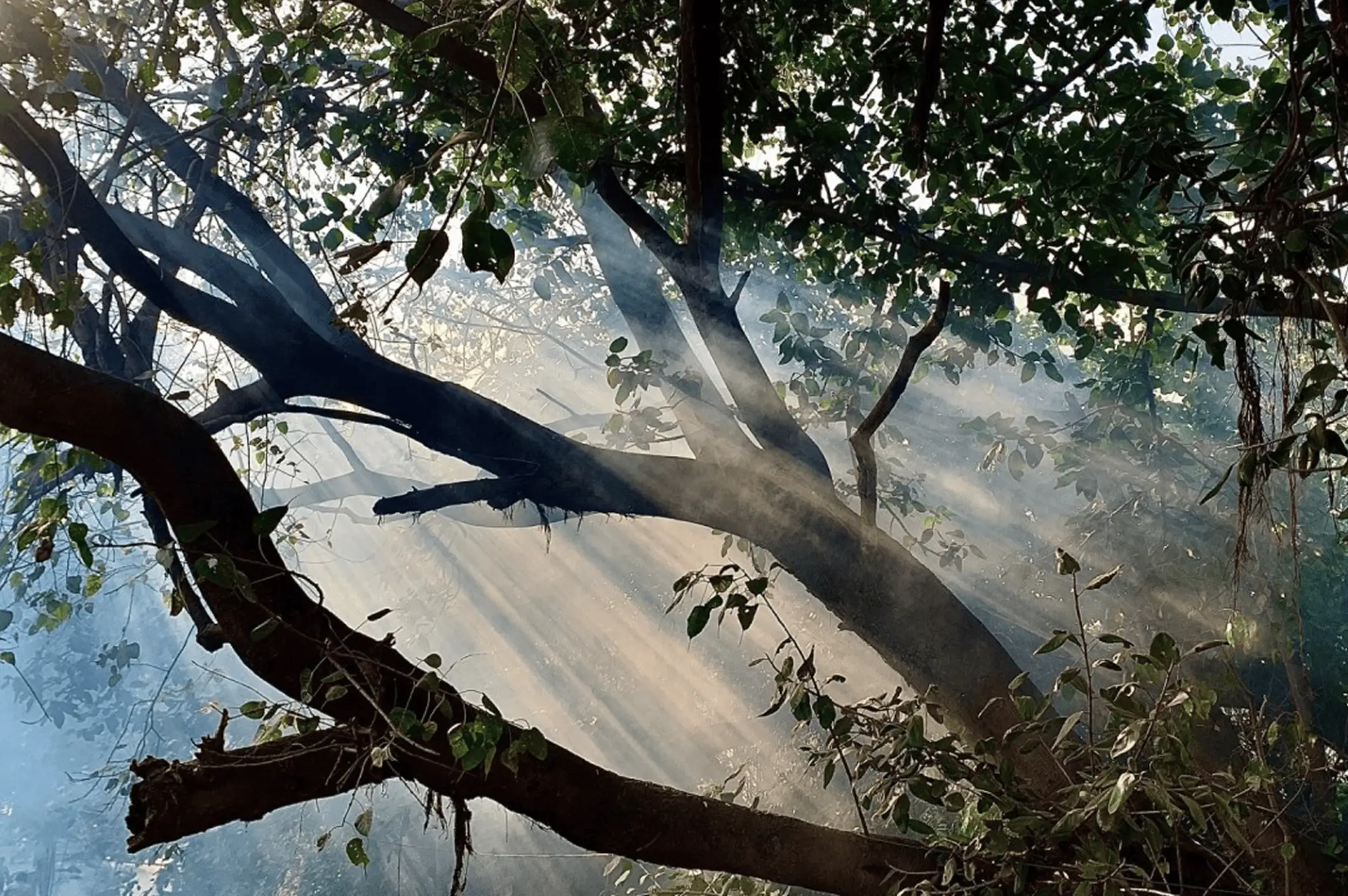 The Art of Pausing: Rediscovering Modesty and Mindfulness in a Fast-Paced World